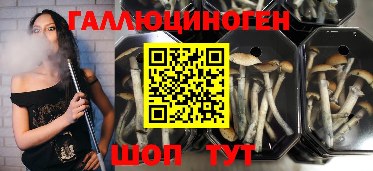 Псилоцибиновые грибы Magic Shrooms  Вход с VPN  Татарск 
