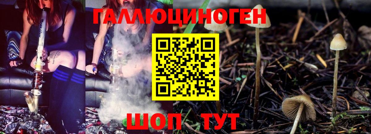 Галлюциногенные грибы GOLDEN TEACHER Татарск
